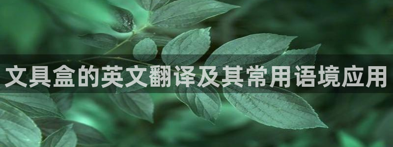 彩名堂官方平台：文具盒的英文翻译及其常用