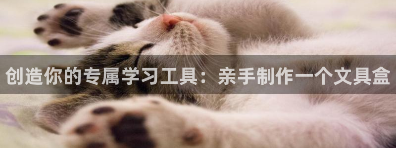 彩名堂手机客户端怎么下载：创造你的专属学