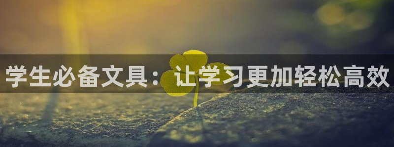 彩名堂用不了：学生必备文具：让学习更加轻