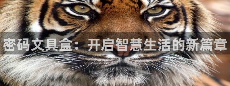 彩名堂为什么打不开：密码文具盒：开启智慧