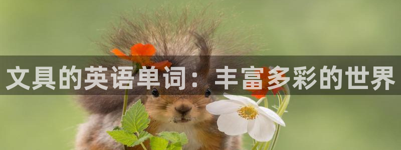 如何进入彩名堂官网更新：文具的英语单词：