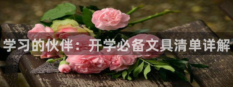 彩名堂app官方网：学习的伙伴：开学必备