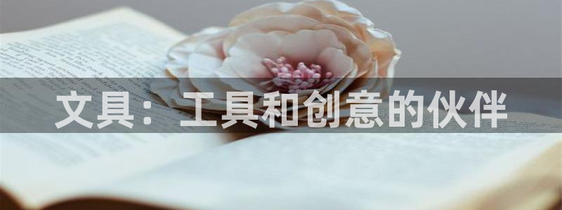 彩名堂怎么用不了了：文具：工具和创意的伙