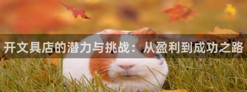 如何进入彩名堂官网更新：开文具店的潜力与