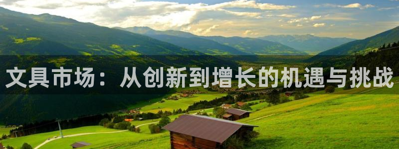 彩名堂app官方网址是多少：文具市场：从