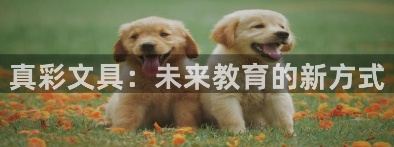 彩名堂官网在线计划怎么不更新了：真彩文具