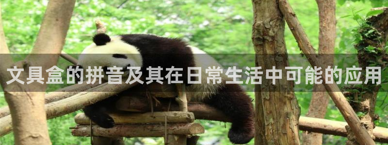 彩名堂计划怎么跟不挂：文具盒的拼音及其在