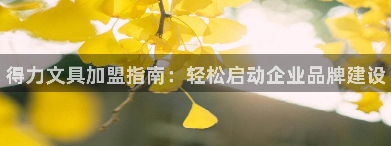 彩名堂客服：得力文具加盟指南：轻松启动企