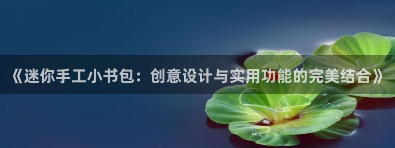 彩名堂最新版www：《迷你手工小书包：创