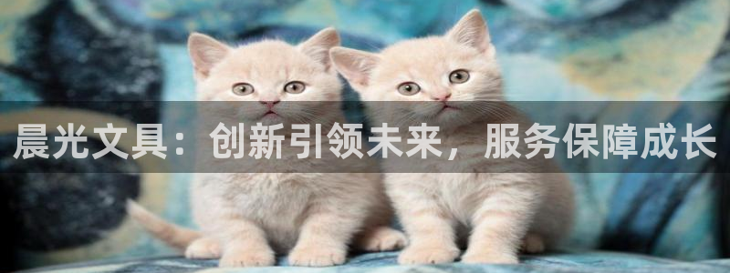 正规彩名堂官网计划01：晨光文具：创新引