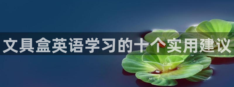 彩名堂计划怎么打不开了：文具盒英语学习的