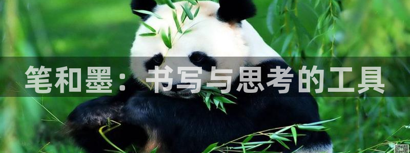 彩名堂旧版本：笔和墨：书写与思考的工具