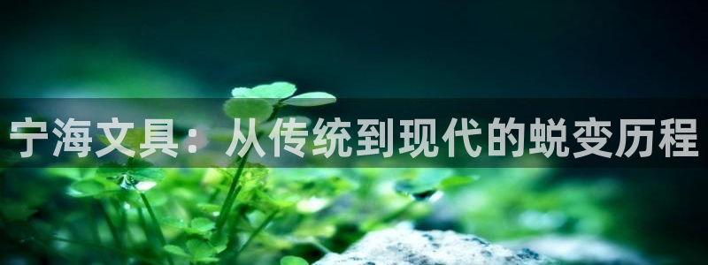 彩名堂为什么用不了了：宁海文具：从传统到