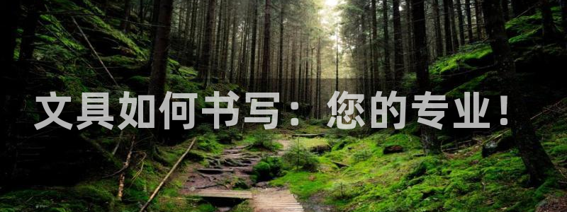 彩名堂计划和01计划怎么很稳：文具如何书