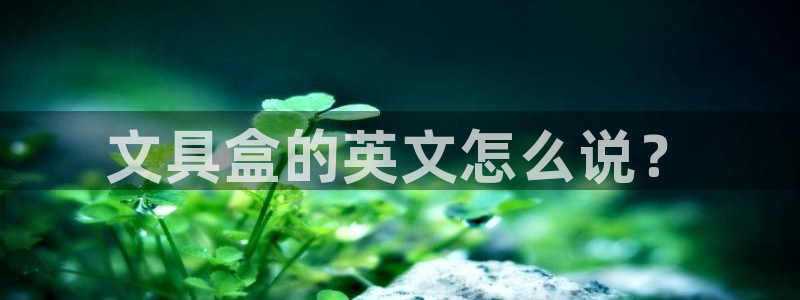 彩名堂使用方法和用量：文具盒的英文怎么说