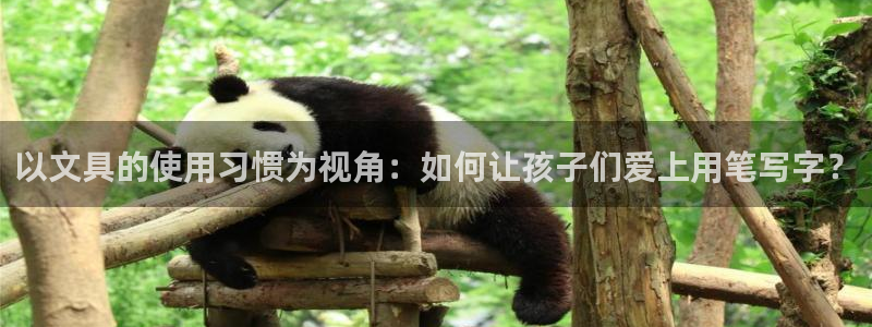 彩名堂为什么突然不能用了：以文具的使用习