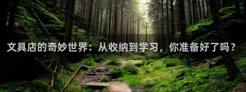 彩名堂预测计划：文具店的奇妙世界：从收纳