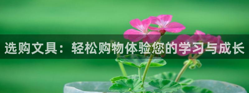彩名堂app彩名堂客户端：选购文具：轻松