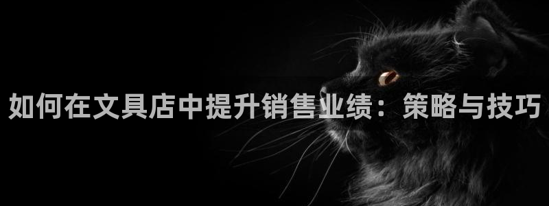 彩名堂移动客户端：如何在文具店中提升销售