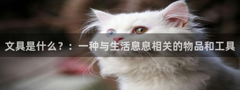 下载苹果手机版彩名堂：文具是什么？：一种