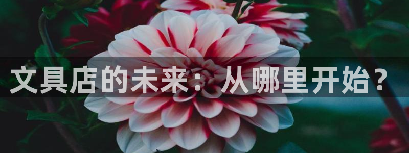 彩名堂app计划官方网站：文具店的未来：