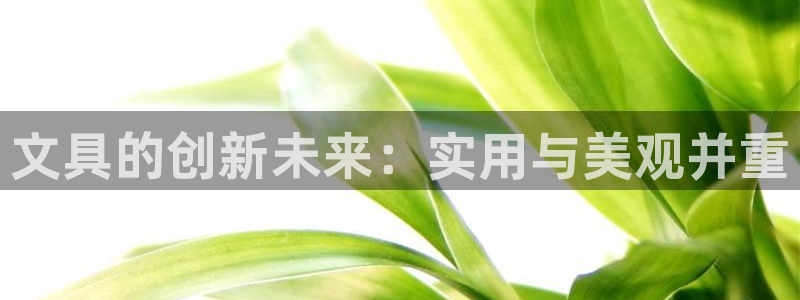 彩名堂官网网页计划：文具的创新未来：实用