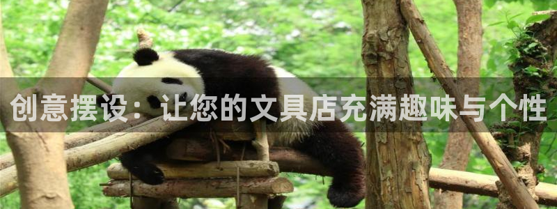 彩名堂怎么打不开了：创意摆设：让您的文具