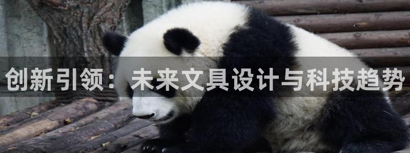 彩名堂客服：创新引领：未来文具设计与科技