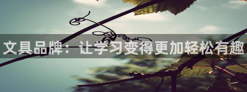 彩名堂人工预测免费计划：文具品牌：让学习