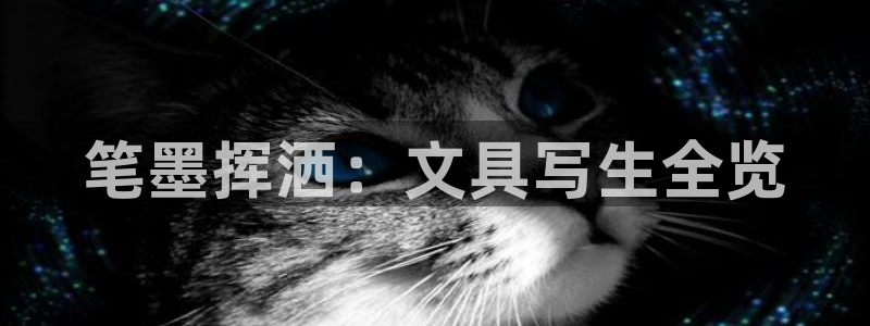 彩名堂5.0：笔墨挥洒：文具写生全览