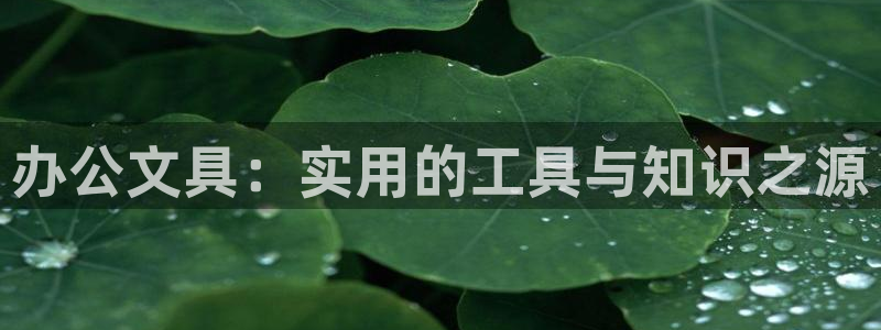 彩名堂客户端是永久免费吗安全吗苹果：办公