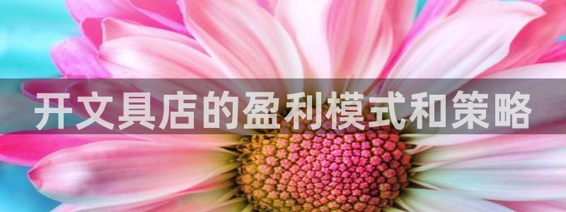 彩名堂使用方法和用量：开文具店的盈利模式