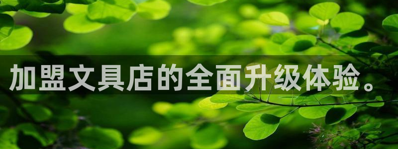 彩名堂计划怎么打不开了：加盟文具店的全面