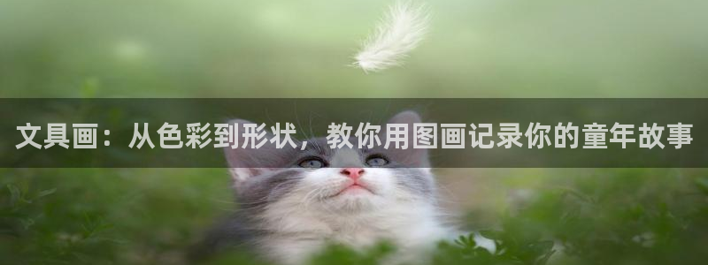 正规彩名堂官网计划：文具画：从色彩到形状