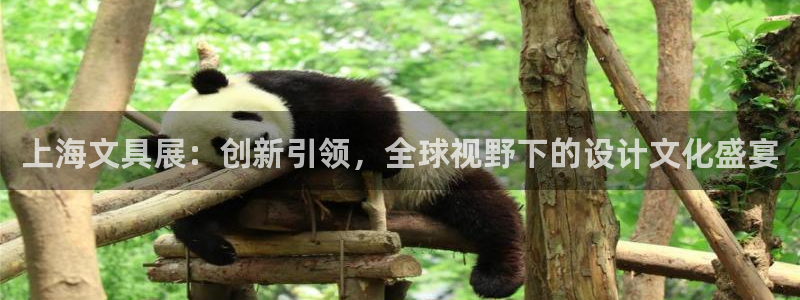 彩名堂客户端加拿大：上海文具展：创新引领