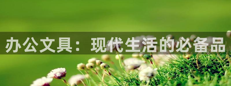 彩名堂为啥又不能用了：办公文具：现代生活