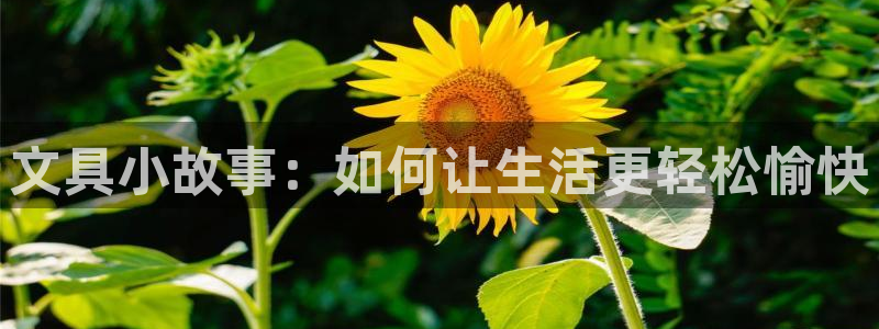 如何进入彩名堂官网更新：文具小故事：如何