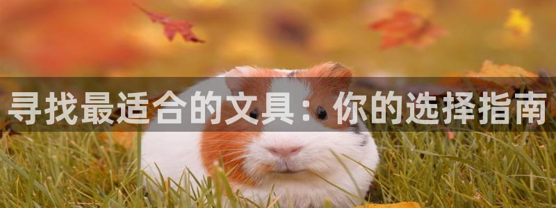 彩名堂app官方下载：寻找最适合的文具：