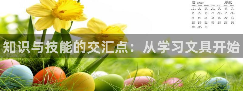 老版彩名堂：知识与技能的交汇点：从学习文