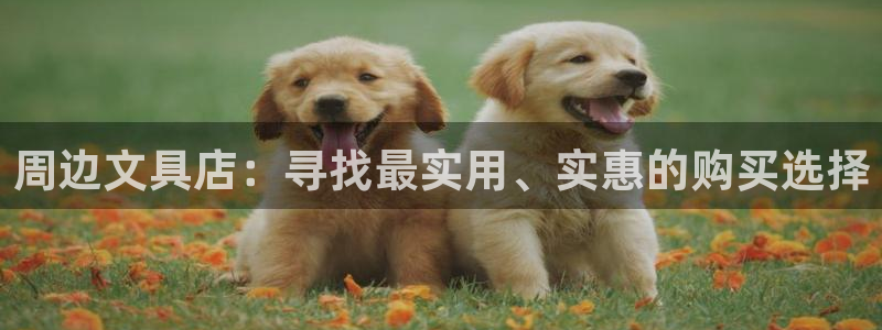 彩名堂为什么用不了了：周边文具店：寻找最