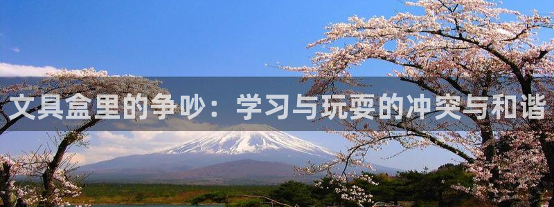 彩名堂app官网：文具盒里的争吵：学习与