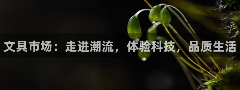 彩名堂官网计划：文具市场：走进潮流，体验