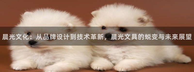 彩名堂一直不出结果怎么回事呀：晨光文化：