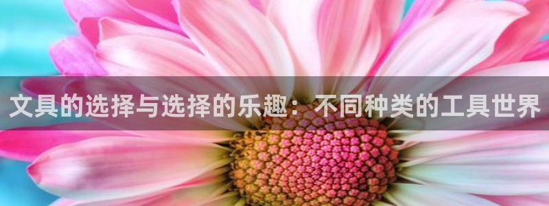 正规彩名堂官网计划01：文具的选择与选择