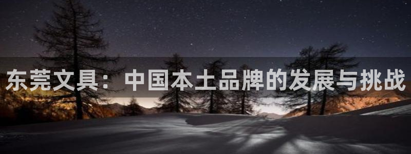 彩名堂用不了：东莞文具：中国本土品牌的发