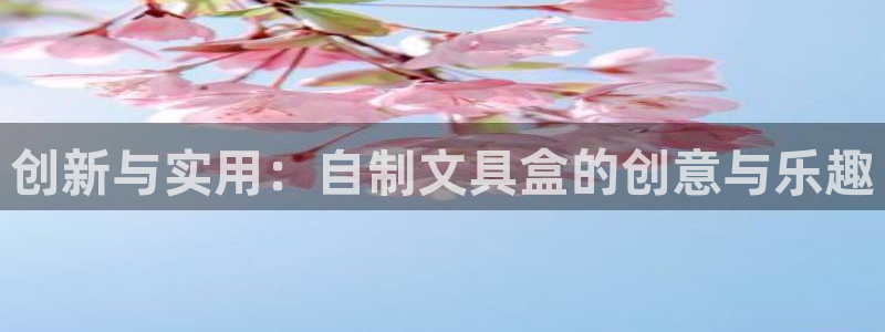 彩名堂官网谁有：创新与实用：自制文具盒的