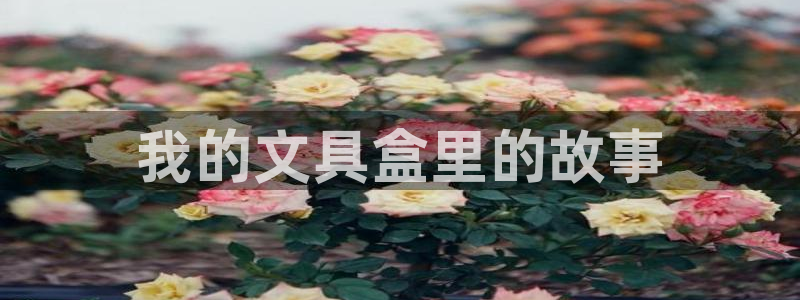 彩名堂预测计划：我的文具盒里的故事