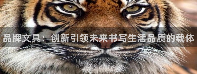 彩名堂排三