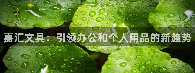 彩名堂不能用了吗：嘉汇文具：引领办公和个