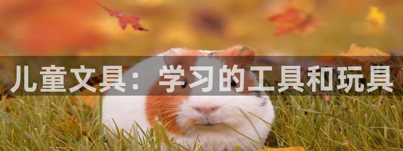 彩名堂计划技巧有哪些：儿童文具：学习的工